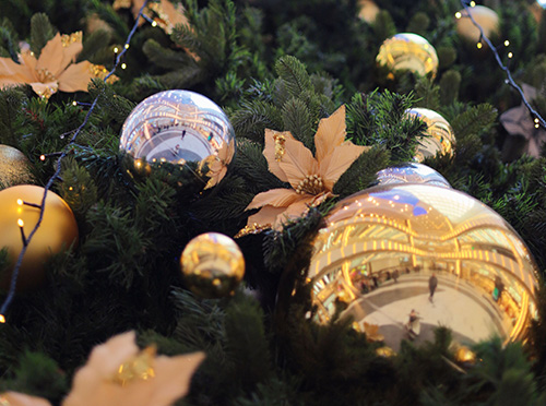 Большие шары в Сочи