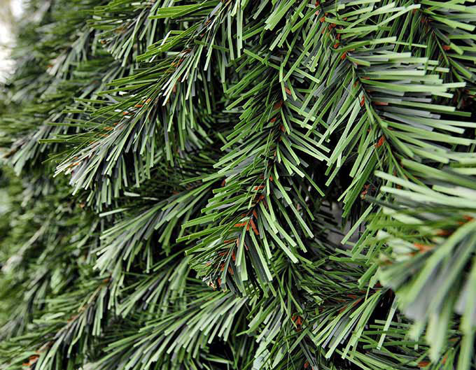 Хвоя для больших ёлок в Сочи