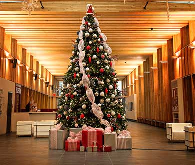 Интерьерные ёлки в Сочи