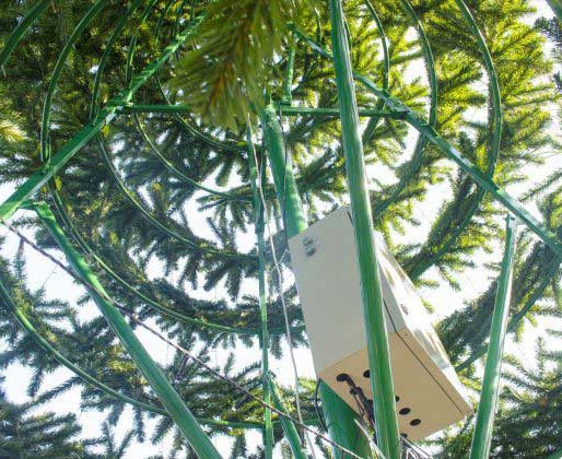Каркасы для больших ёлок в Сочи