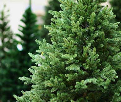 Искусственные ёлки в Сочи