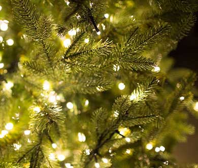 Искусственные световые ёлки в Сочи