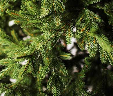 Искусственные ёлки люкс в Сочи