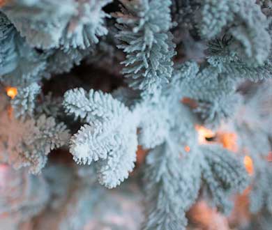 Искусственные заснеженные ёлки в Сочи