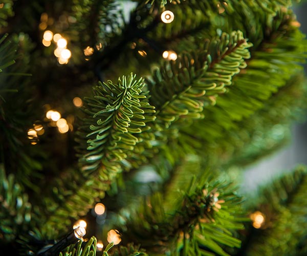 Гирлянды для комнатных ёлок в Сочи